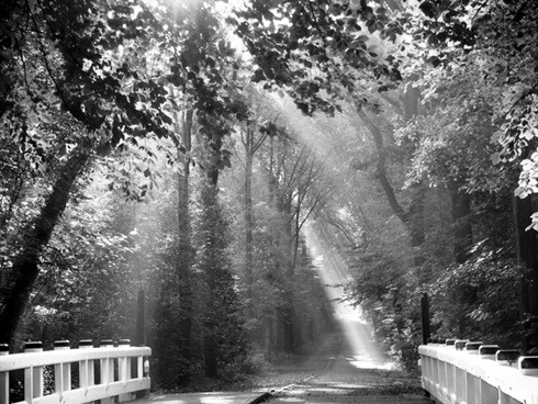 wandering