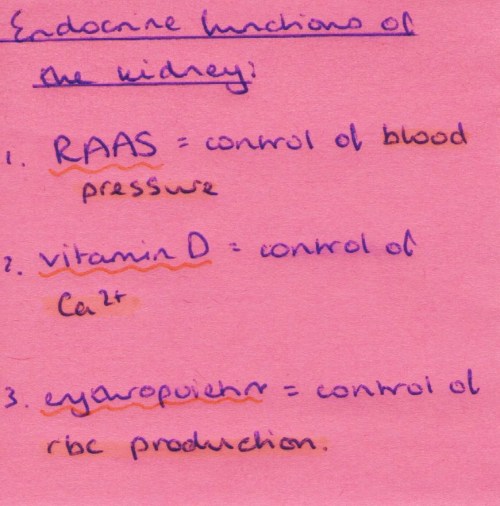 endocrine