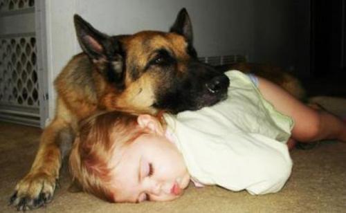 German shepherd and kids