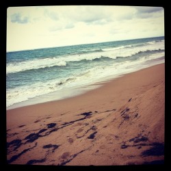 Taken with Instagram at Ocean Park Beach