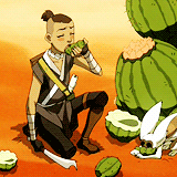 one-quiet-night:  Sokka and Momo on cactus juice is one of this show’s many gems. 