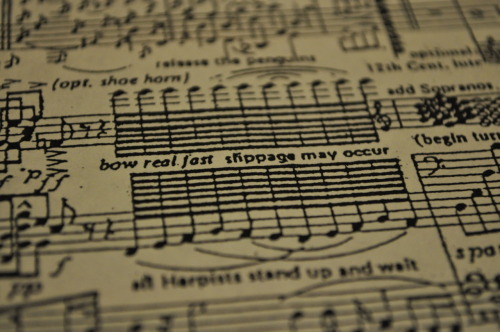 thatisludicrous:theburntsouffle:madygcomics:pocopiumosso:My middle school orchestra teacher has this