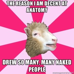 This sheep it’s right like, everytime