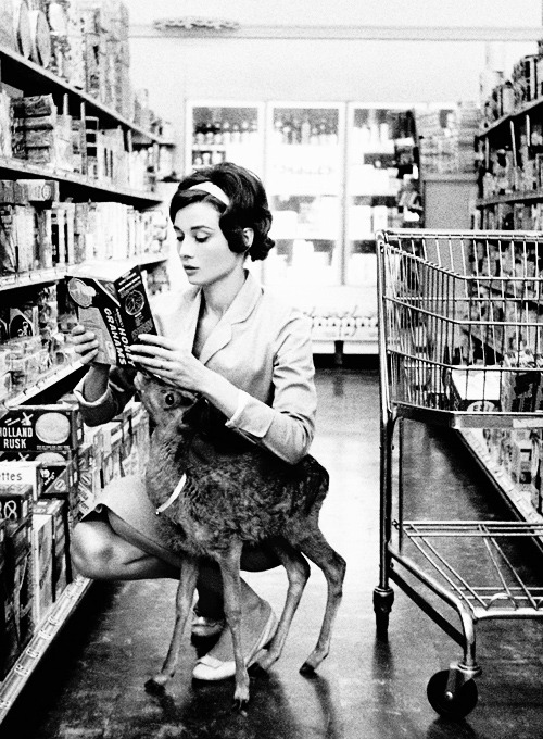 sortsol:  Audrey Hepburn grocery shopping with her deer photographed by Bob Willoughby