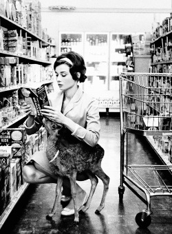 sortsol:  Audrey Hepburn grocery shopping