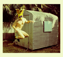 Rabbit Regimen - Jan 2012 - Miami Beach,