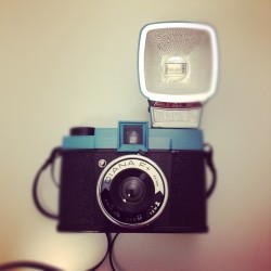 My Diana# Diana f#lomo#lomography#lfilm#Crivellin#pAdua#padova#italy#blue (Taken with instagram)