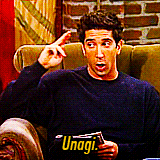 ptrparker:  Character Photoset: Ross Geller 