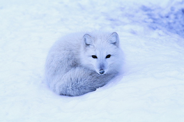 cmerre cuuutie.