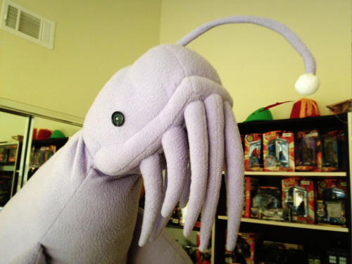 gay-isnt-an-emotion-ghirahim:  fiyhi:  lorwhal:  doctorwho:  Handmade Star Whale Plushie lifeamongthedistantstars:   This is my Star Whale, Jeffrey. He is approximately 8 ft long, 3 ft wide, and weighs a lot for a plushie. He is entirely hand stitched