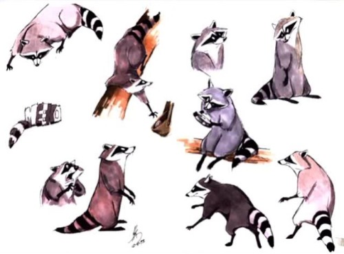 Meeko Concept Art