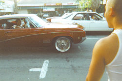  barrio2barrio: Tank tops, and bald heads are all you see on Cinco De Mayo in San Jose  