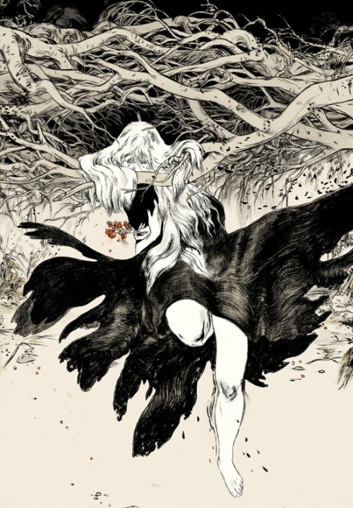 bookspaperscissors:  Irish Myths & Legends, Jillian Tamaki 