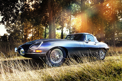 Girl of last summerStarring: Jaguar E-type(by Mark A Lacey)