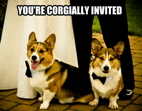 tastefullyoffensive:  via 