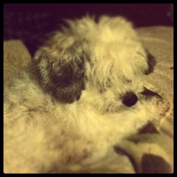 Taken with instagram