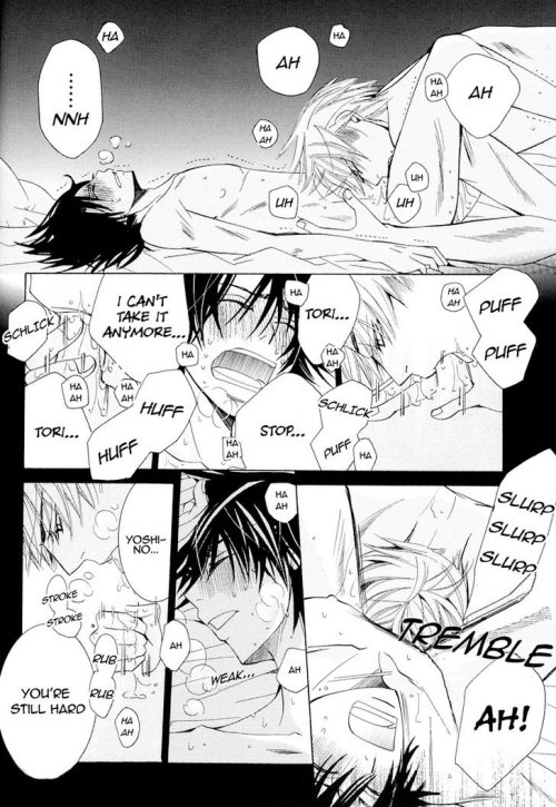 shisama:  OMG CHIAKI “PUT IT IN” *—* 
