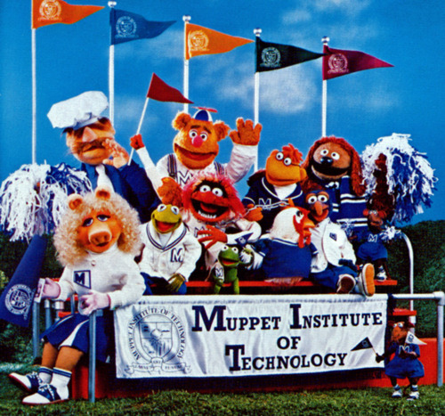 imfh:  my sister sent this to me im just trying to go to college and this bitch suggests i become a muppetbeing a muppet woud be pretty cooli could prolly get a scholarship   How do I become a muppet