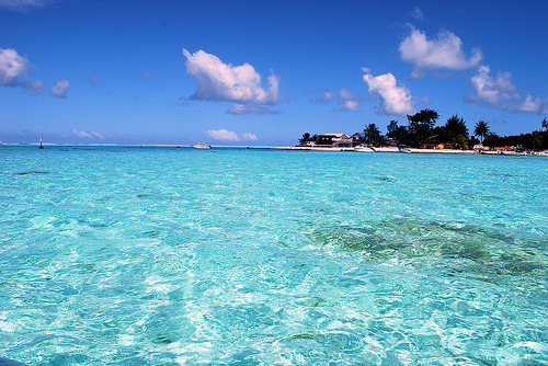 oceanic-beauty:  i follow back instantly! ♥ 