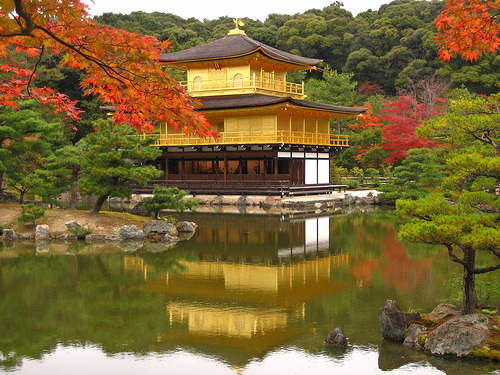 The Golden Pavilion (by Andrea Cassani)