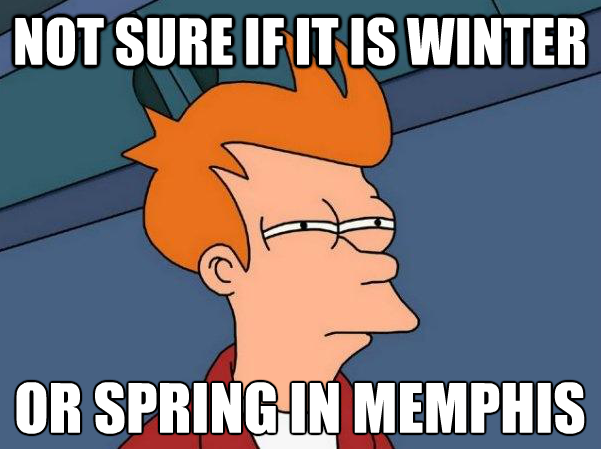 paleomemphis:  So true. It’s January and this high today is 59*! I don’t mind