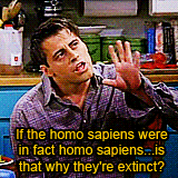  Character Photoset: Joey Tribbiani Cause I’m a Tribbiani! And this is what we