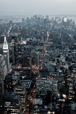 catscanseethedevil:  Downtown Manhattan by