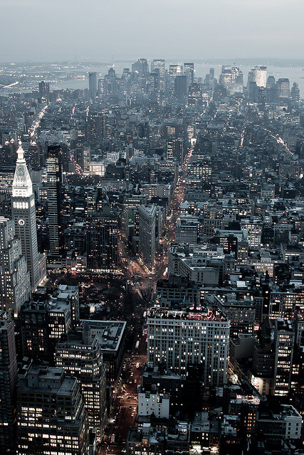 catscanseethedevil:  Downtown Manhattan by Obliot on Flickr. 
