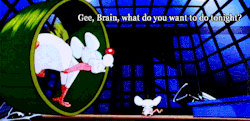 angelsdelights:  dirtydreamer:  Pinky and the Brain!  My response