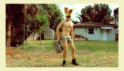 Alexanderguerra:   Rabbit Regimen - Jan 2012 - Miami Beach, Florida  -Alexander