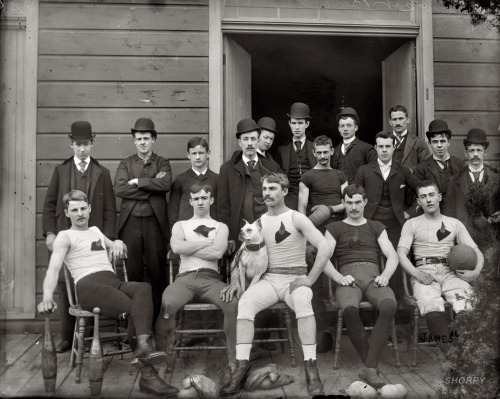 my-ear-trumpet:lostsplendor:Football Team, c. 1900 (via Animal House: 1900 | Shorp)“Football t