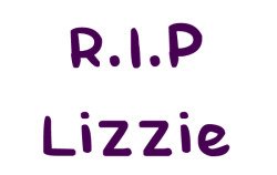    R.I.P. Lizzie- A little Belieber who had