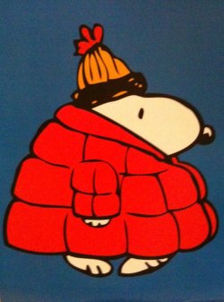 dovetosanoleaquile:  Snoopy con il Moncler.  