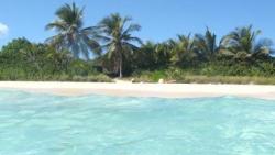 caribbeanmassive:  Secret beach on Vieques a small island off of puerto rico