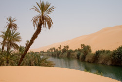 afrique-du-nord:Sahara desert in southwestern