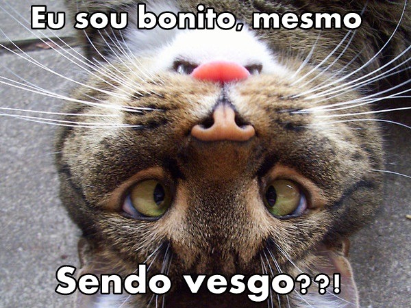 nescaunocabelo:  *—————* 