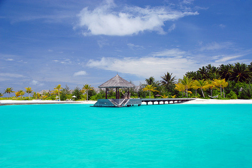 h-a-p-p-y-summer:  Follow h-a-p-p-y-summer for colorful summer pictures all year round! :)
