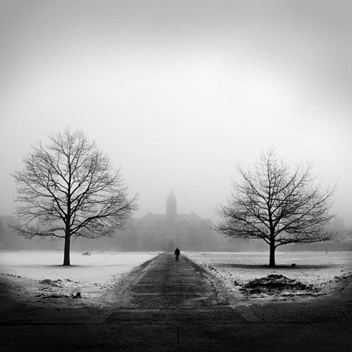 astrait:&ldquo;Fog in the Oval.&rdquo; Love this picture, love this place!