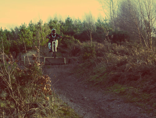 olliejigglephysics: Well had a half decent rehab ride up the trails at Cannock today, though I found