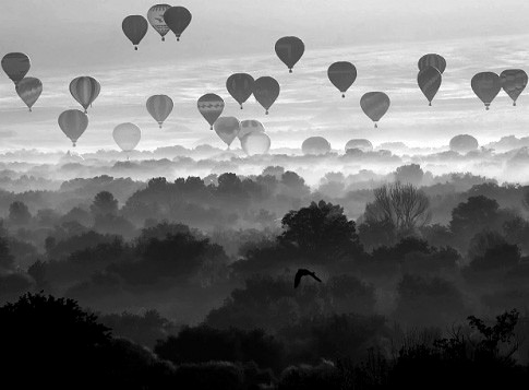 Comme - Le - Ciel