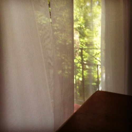 Seeking some breeze… (Taken with instagram)