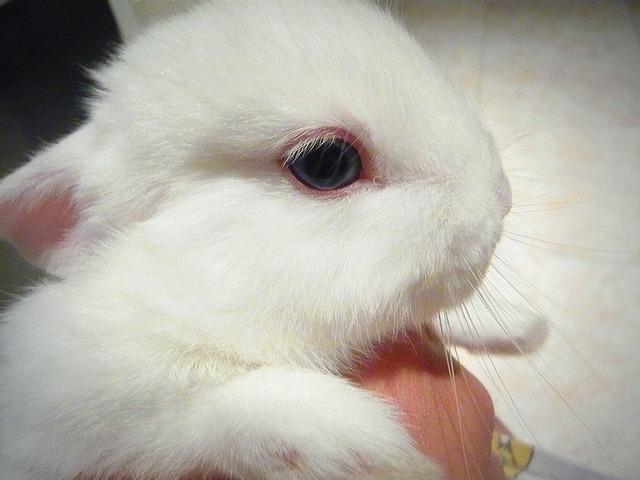 bulutkokanadam:  salcalivitrin:xx  《☆☆》  