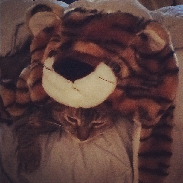 Tigre wearing a tiger hat #cats #cat #cute #caturday (Taken with instagram)