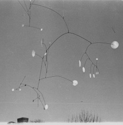 yama-bato:  Herbert Matter    Title: Calder