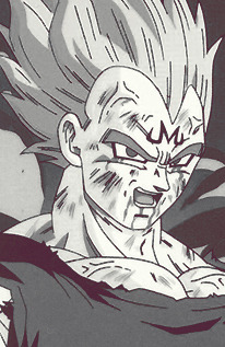 eilyn-chan:  Vegeta SJJ 