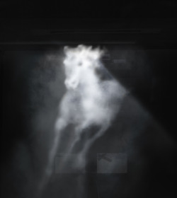 mitford:  TriStar Horse, video projection on to water vapour (2008) by Banks Violette 