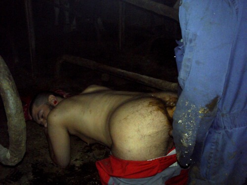 jakepup:  Me in a cowstall getting fisted adult photos