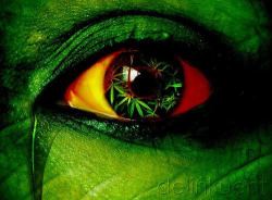  O vermelho dos meus olhos refletem o verde da natureza !Bob Marley  