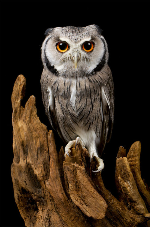 Photographer: Mark Bridger