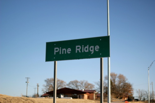 Such a beautiful day in Pine Ridge!